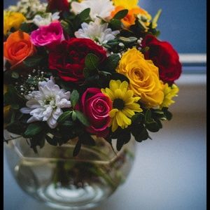 Meet your Posher, Lynn